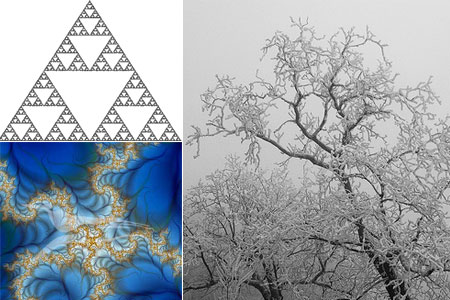 fractals